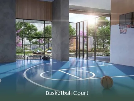 Basketball court